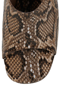 GIAH BROWN MULTI PHYTHON