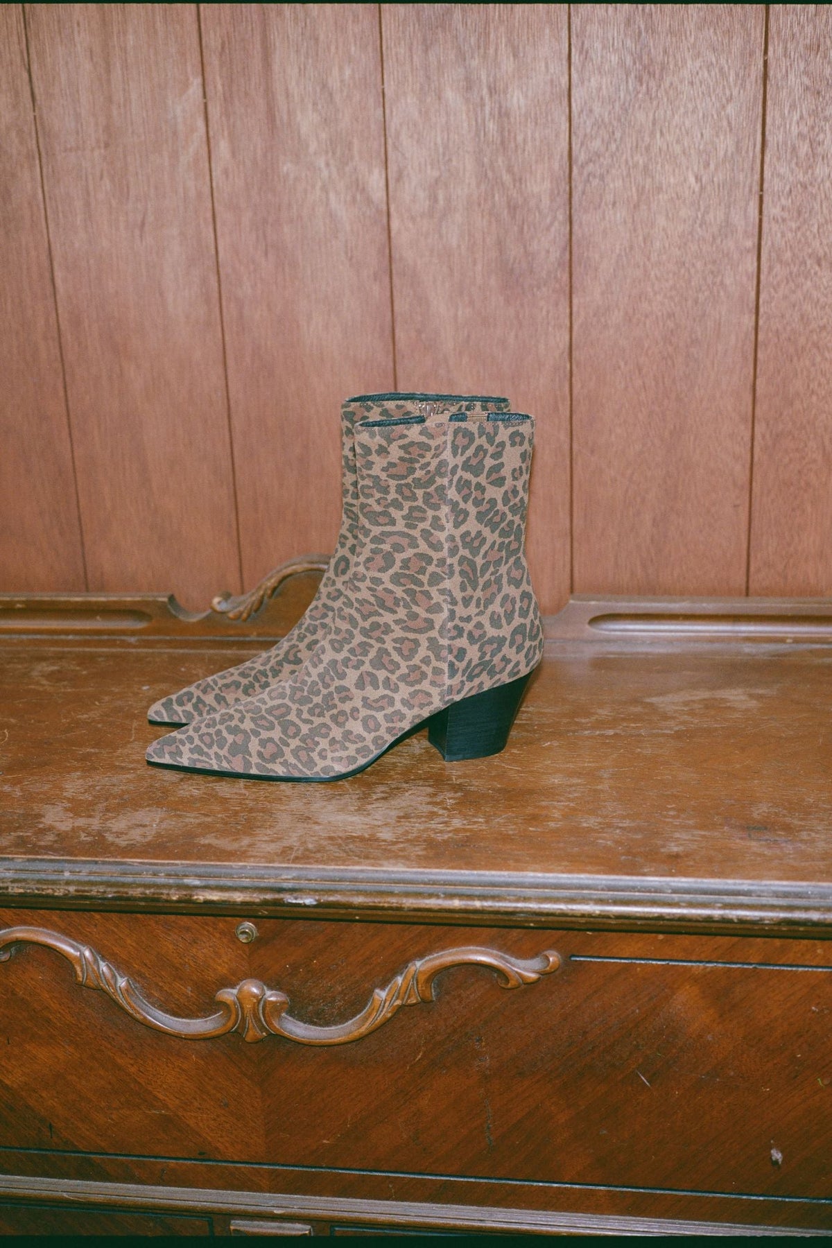 Joshuatree Brown Leopard