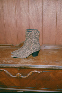 Joshuatree Brown Leopard