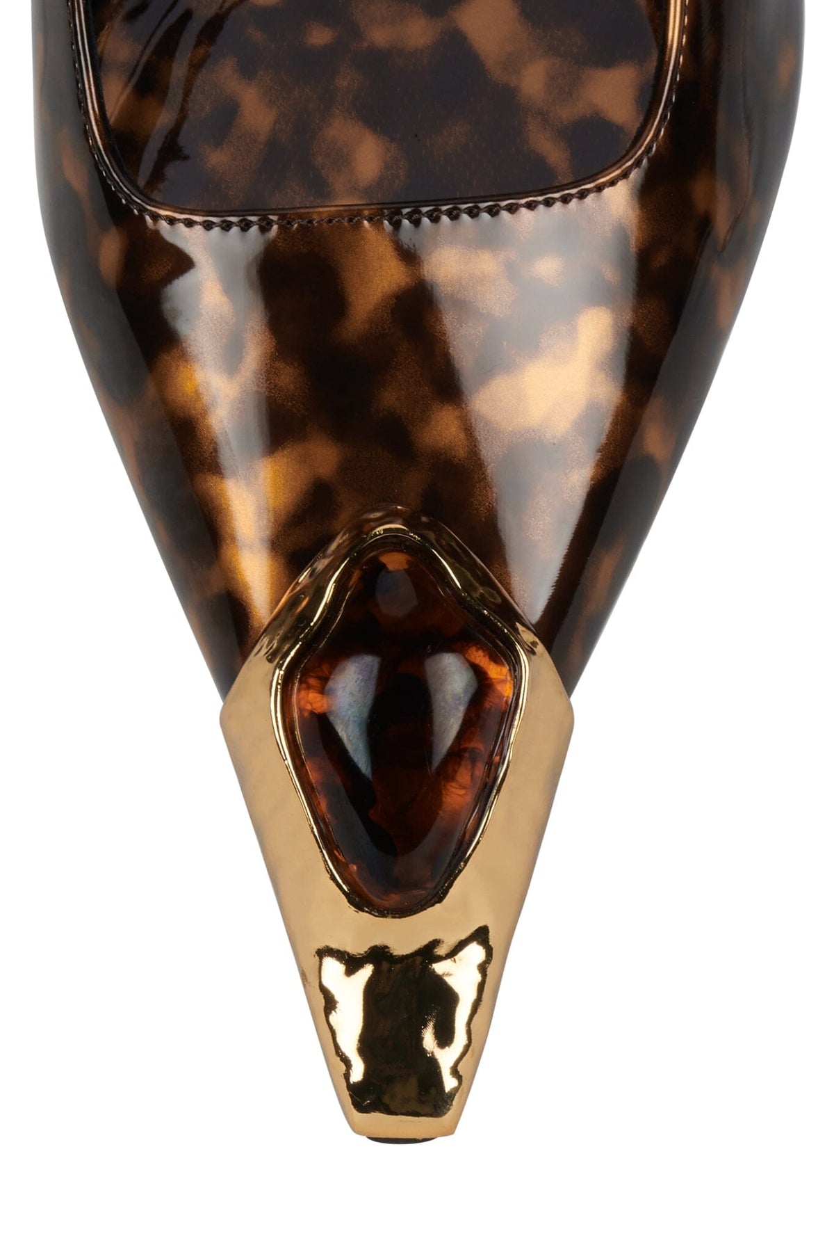 SORCERER TORTOISE COMBO