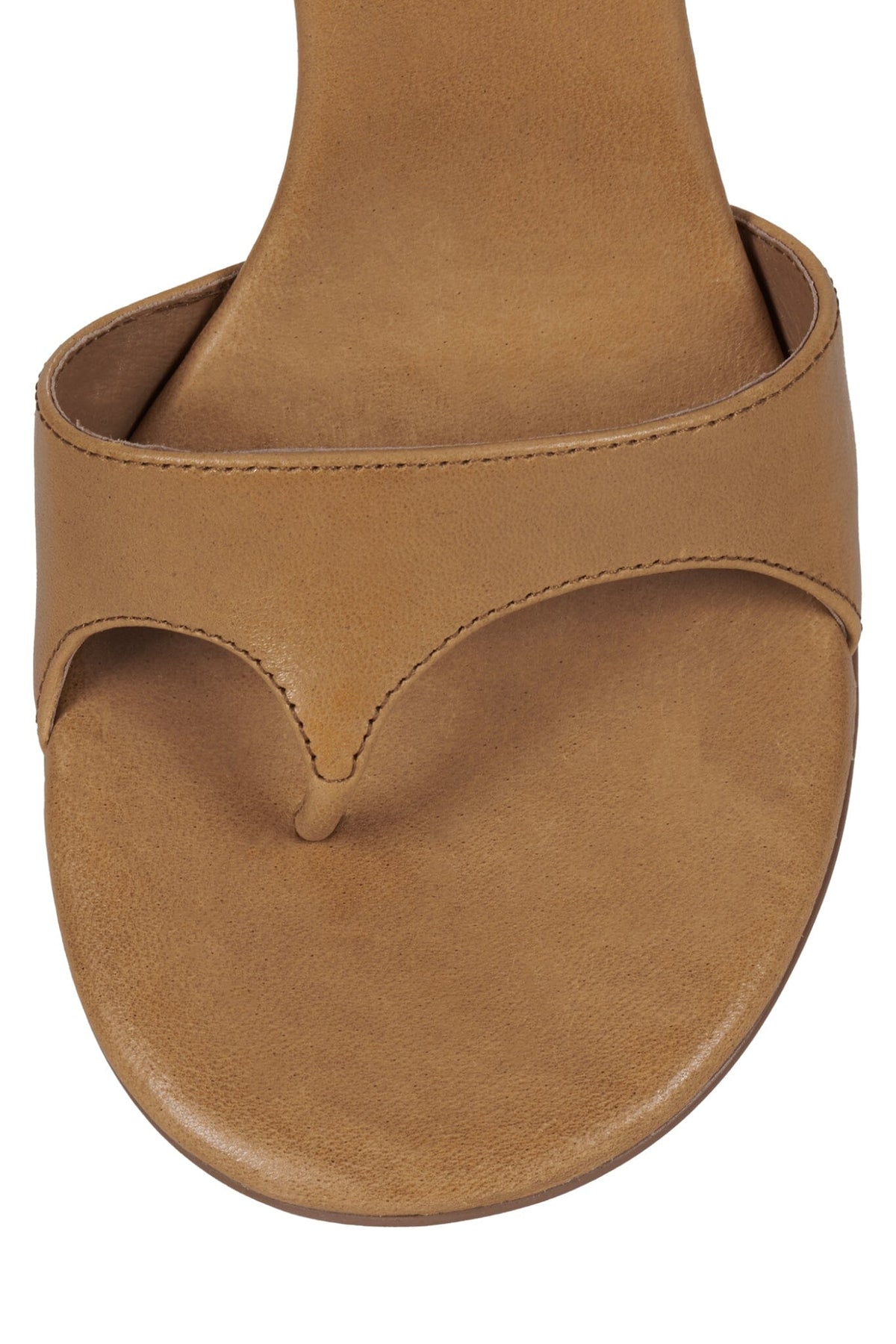 LINETTE CAMEL