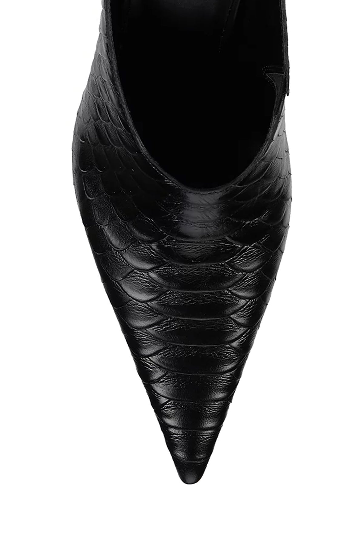 VADER WINE SNAKE