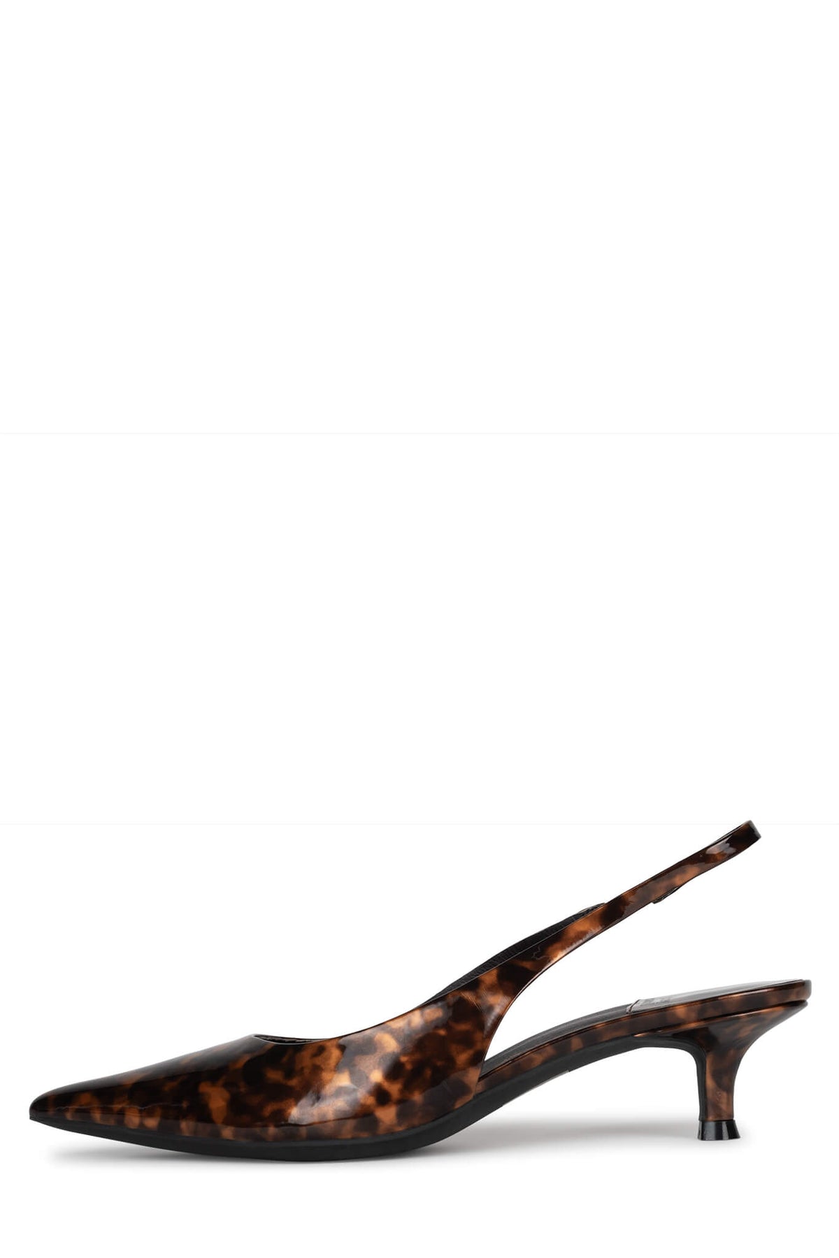 PERSONA TORTOISE