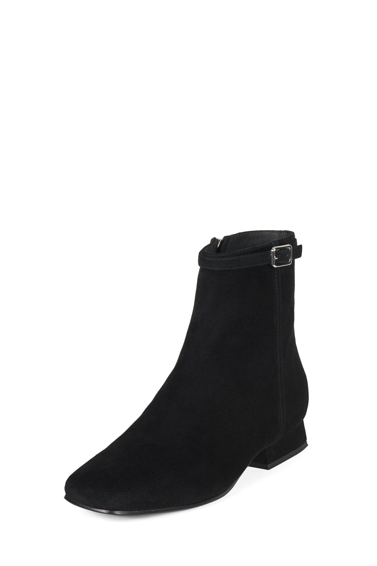 Reggiani Black