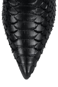 Joshuatree Black Snake