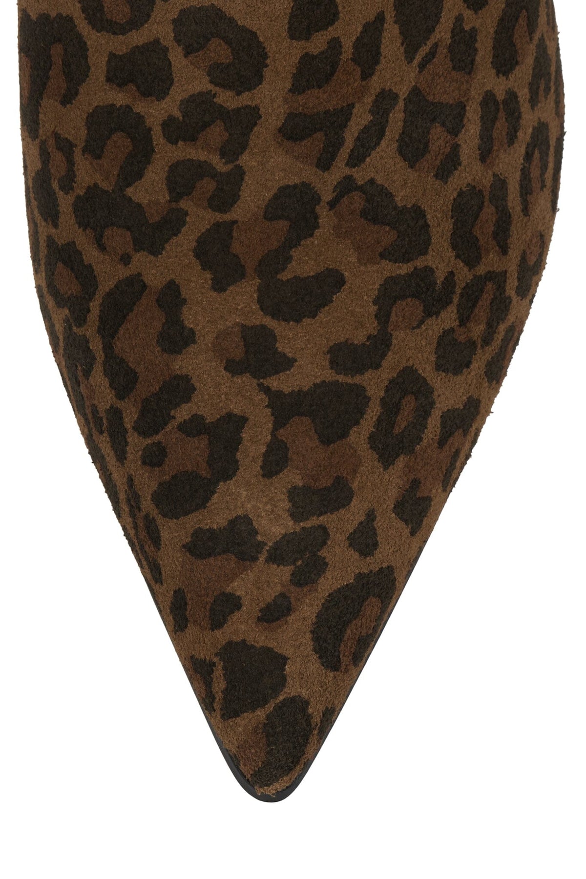 Joshuatree Brown Leopard