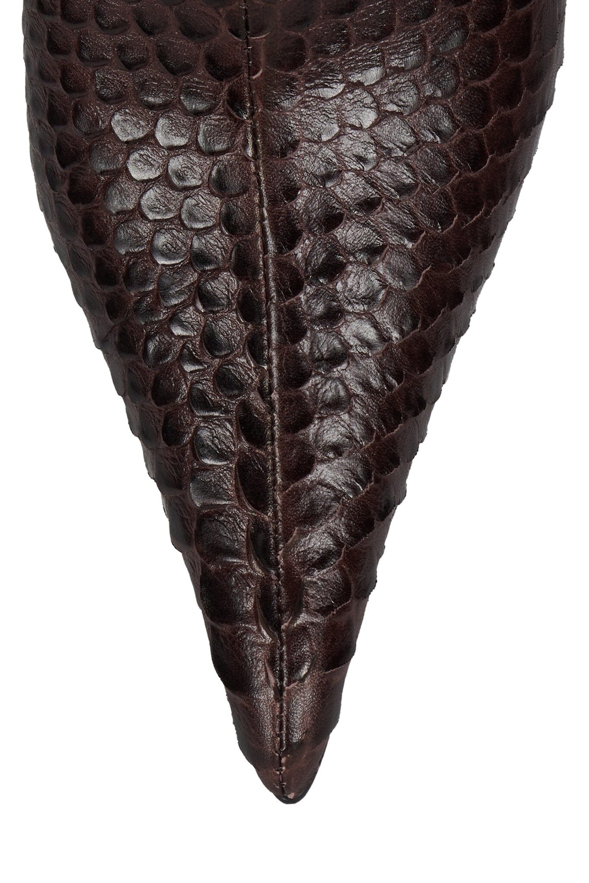 PROPOSAL BROWN SNAKE