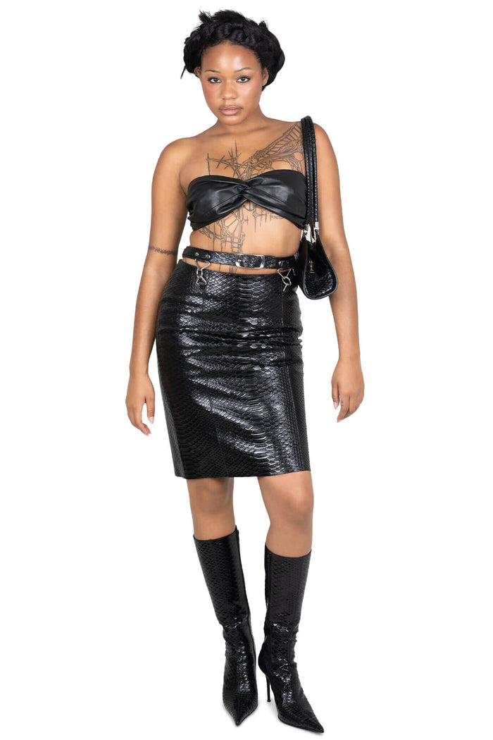 PROPOSAL BLACK SNAKE